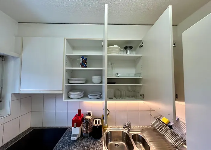 Apartament Cozy In Witikon District