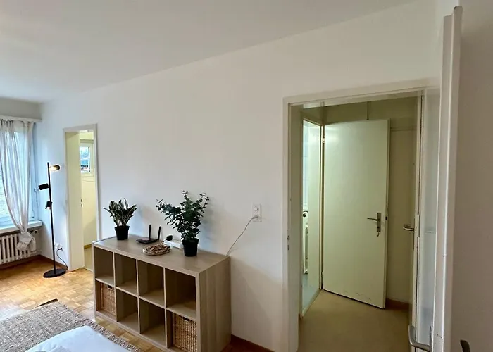 Cozy In Witikon District