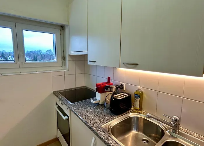 Appartamento Cozy In Witikon District Zurigo