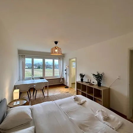 Apartamento Cozy In Witikon District