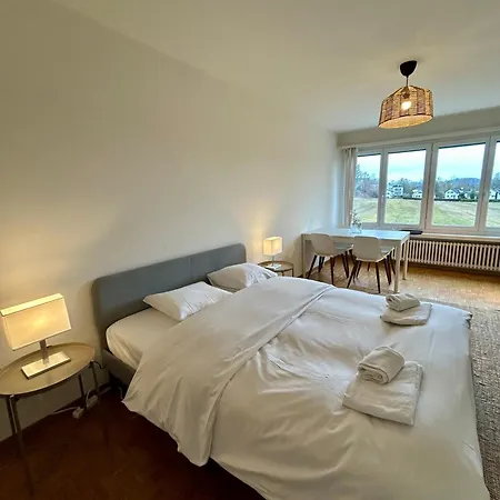 Apartamento Cozy In Witikon District